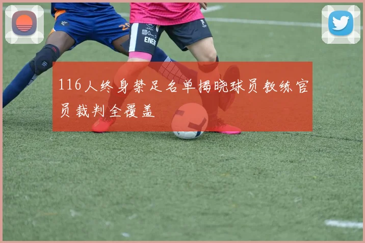 116人终身禁足名单揭晓球员教练官员裁判全覆盖